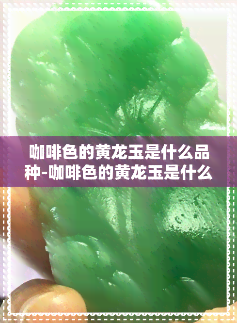 咖啡色的黄龙玉是什么品种-咖啡色的黄龙玉是什么品种的