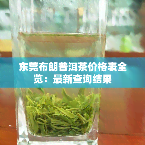 东莞布朗普洱茶价格表全览：最新查询结果