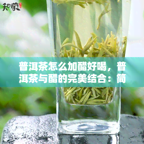 普洱茶怎么加醋好喝，普洱茶与醋的完美结合：简单易学的美味制作方法