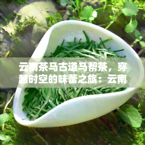 云南茶马古道马帮茶，穿越时空的味蕾之旅：云南茶马古道马帮茶的故事