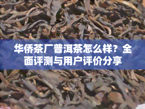 华侨茶厂普洱茶怎么样？全面评测与用户评价分享