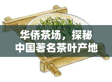 华侨茶场，探秘中国著名茶叶产地：华侨茶场的传奇故事与美味茶叶