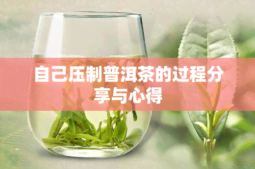 自己压制普洱茶的过程分享与心得