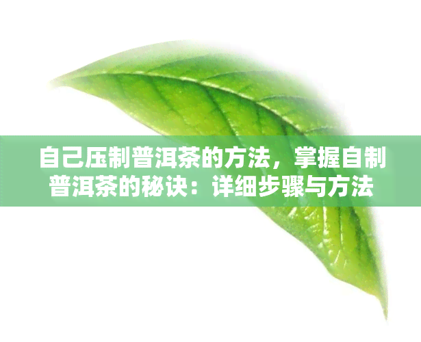 自己压制普洱茶的方法，掌握自制普洱茶的秘诀：详细步骤与方法