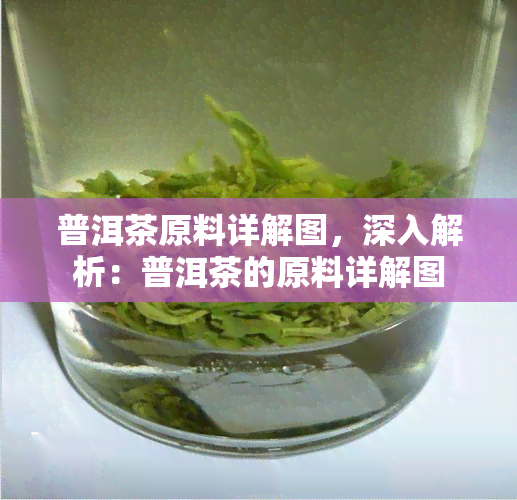 普洱茶原料详解图，深入解析：普洱茶的原料详解图