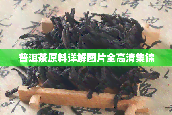 普洱茶原料详解图片全高清集锦