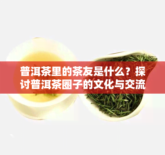 普洱茶里的茶友是什么？探讨普洱茶圈子的文化与交流方式