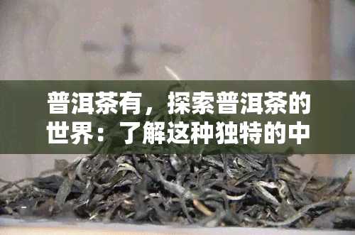 普洱茶有，探索普洱茶的世界：了解这种独特的中国茶叶