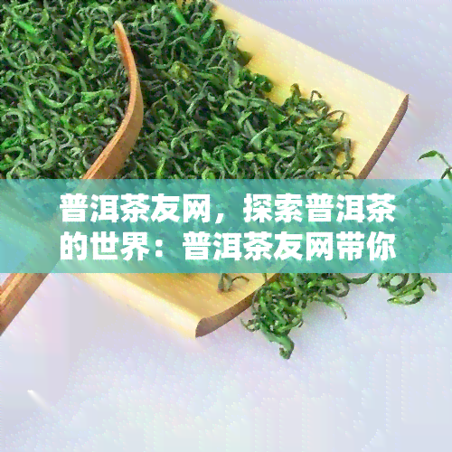 普洱茶友网，探索普洱茶的世界：普洱茶友网带你走进茶叶的美妙之旅