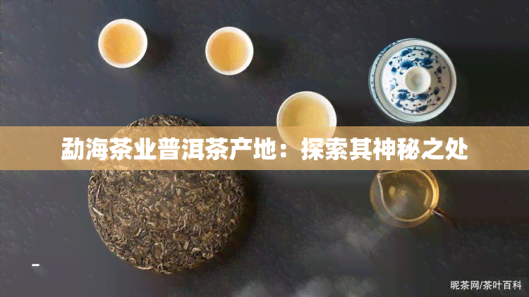 勐海茶业普洱茶产地：探索其神秘之处