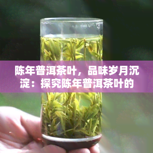 陈年普洱茶叶，品味岁月沉淀：探究陈年普洱茶叶的韵味与价值