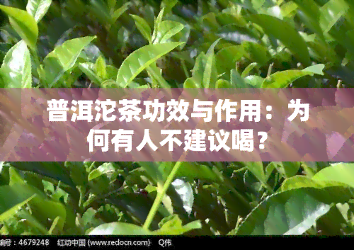 普洱沱茶功效与作用：为何有人不建议喝？