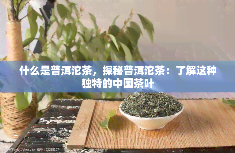 什么是普洱沱茶，探秘普洱沱茶：了解这种独特的中国茶叶