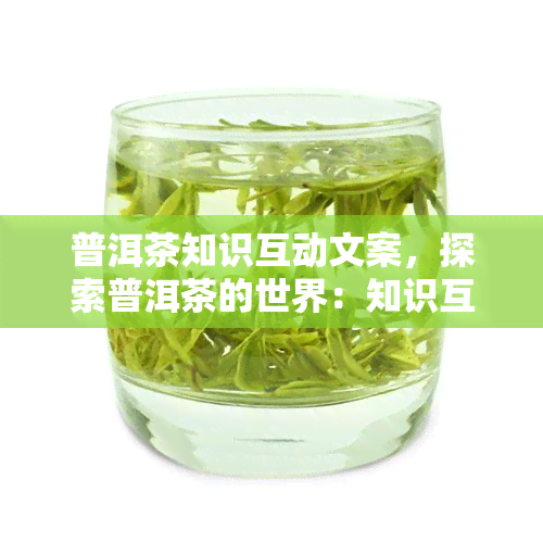 普洱茶知识互动文案，探索普洱茶的世界：知识互动等你来！