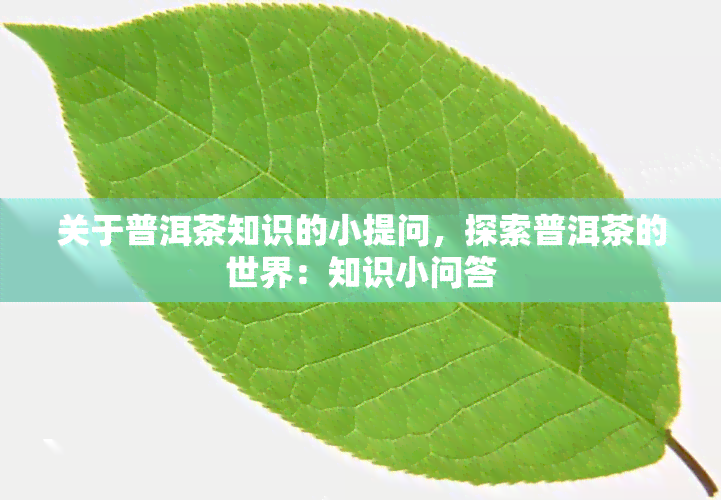 关于普洱茶知识的小提问，探索普洱茶的世界：知识小问答