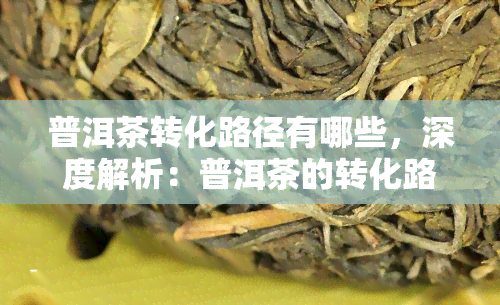 普洱茶转化路径有哪些，深度解析：普洱茶的转化路径