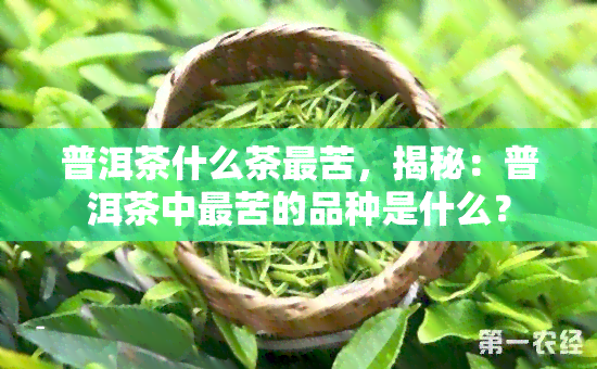 普洱茶什么茶最苦，揭秘：普洱茶中最苦的品种是什么？