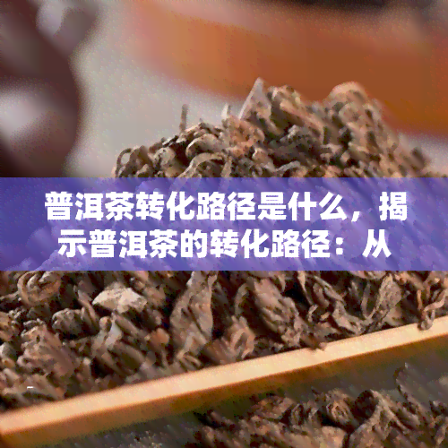 普洱茶转化路径是什么，揭示普洱茶的转化路径：从叶到陈年佳酿的奇妙过程