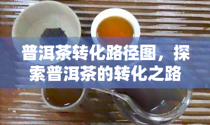 普洱茶转化路径图，探索普洱茶的转化之路：从生茶到熟茶的过程解析