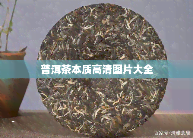 普洱茶本质高清图片大全