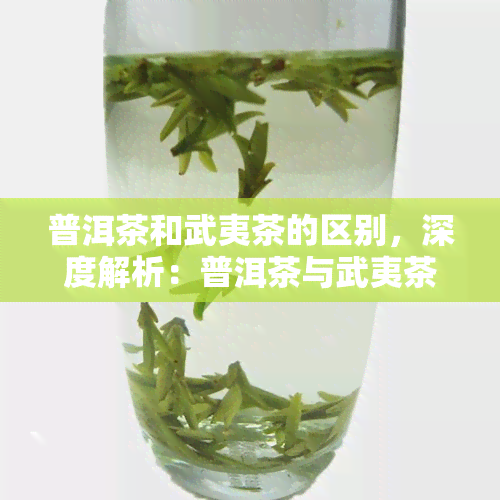 普洱茶和武夷茶的区别，深度解析：普洱茶与武夷茶的五大区别，你了解吗？