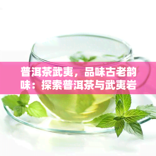 普洱茶武夷，品味古老韵味：探索普洱茶与武夷岩茶的交融之美