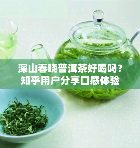 深山春晓普洱茶好喝吗？知乎用户分享口感体验