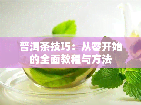 普洱茶技巧：从零开始的全面教程与方法