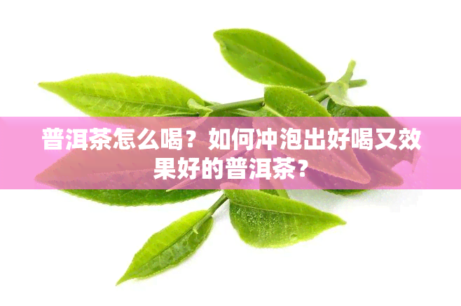 普洱茶怎么喝？如何冲泡出好喝又效果好的普洱茶？