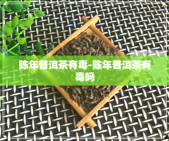 陈年普洱茶有-陈年普洱茶有吗