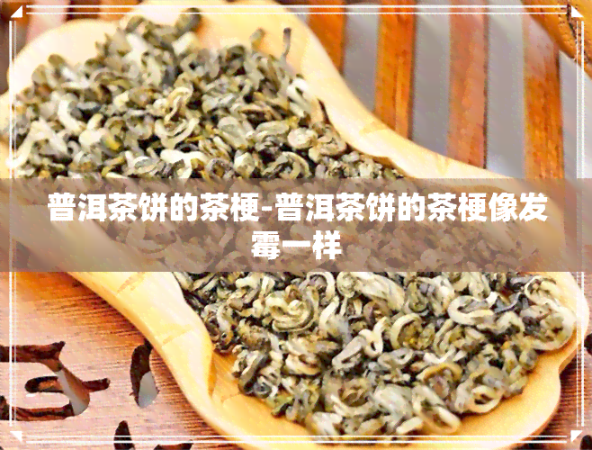 普洱茶饼的茶梗-普洱茶饼的茶梗像发霉一样