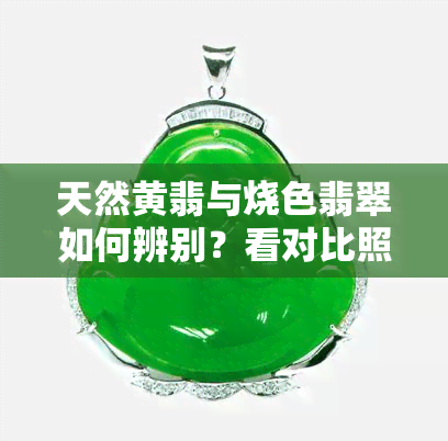 天然黄翡与烧色翡翠如何辨别？看对比照揭晓真相！