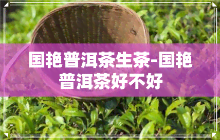 国艳普洱茶生茶-国艳普洱茶好不好