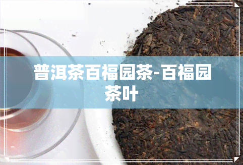 普洱茶百福园茶-百福园茶叶