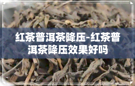 红茶普洱茶降压-红茶普洱茶降压效果好吗