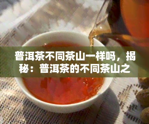 普洱茶不同茶山一样吗，揭秘：普洱茶的不同茶山之间有何异同？