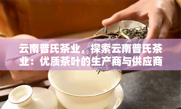 云南普氏茶业，探索云南普氏茶业：优质茶叶的生产商与供应商