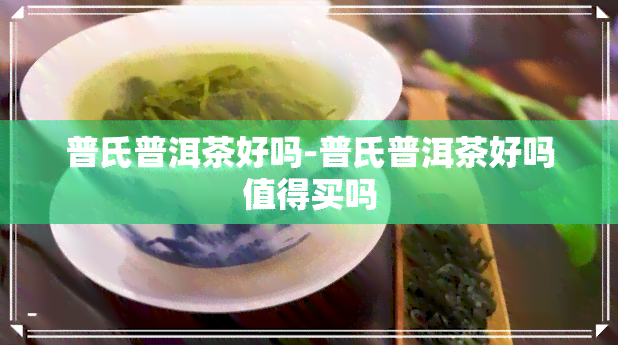 普氏普洱茶好吗-普氏普洱茶好吗值得买吗