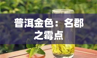 普洱金色：名郡之霉点