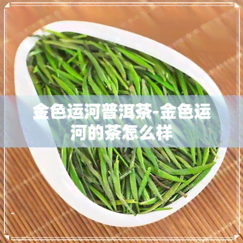 金色运河普洱茶-金色运河的茶怎么样