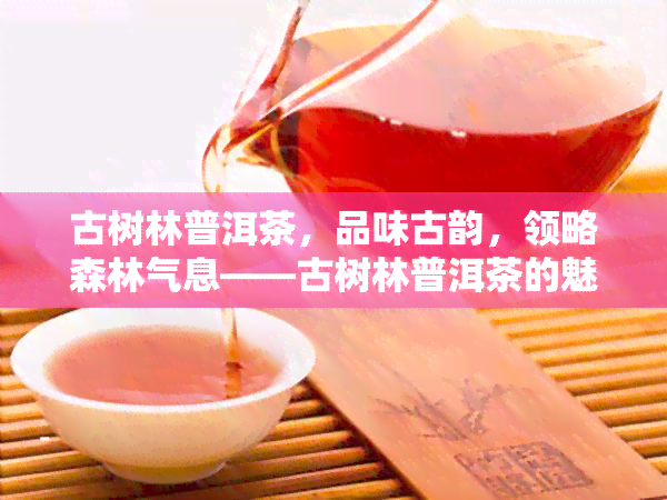 古树林普洱茶，品味古韵，领略森林气息——古树林普洱茶的魅力探索