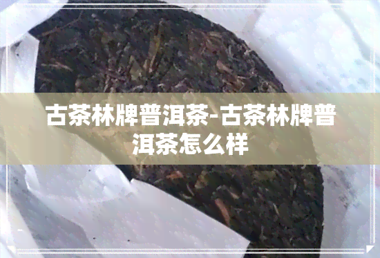 古茶林牌普洱茶-古茶林牌普洱茶怎么样