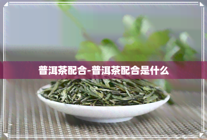 普洱茶配合-普洱茶配合是什么