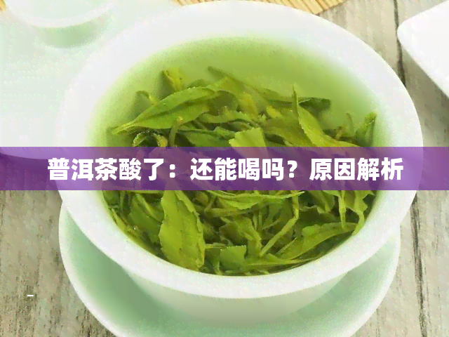 普洱茶酸了：还能喝吗？原因解析