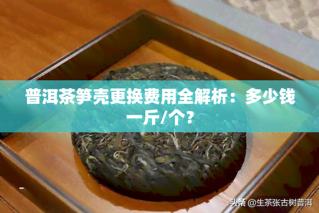 普洱茶笋壳更换费用全解析：多少钱一斤/个？