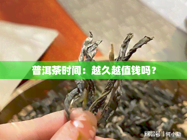 普洱茶时间：越久越值钱吗？