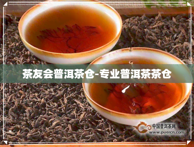 茶友会普洱茶仓-专业普洱茶茶仓