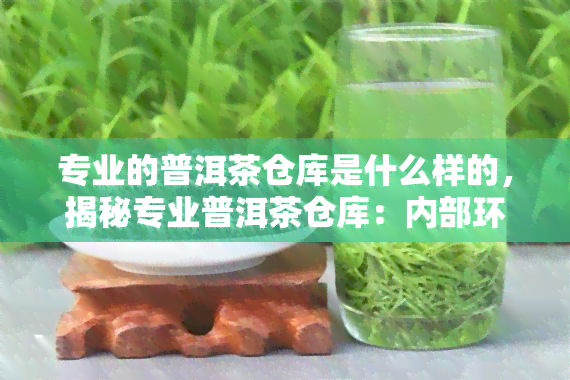 专业的普洱茶仓库是什么样的，揭秘专业普洱茶仓库：内部环境与管理标准