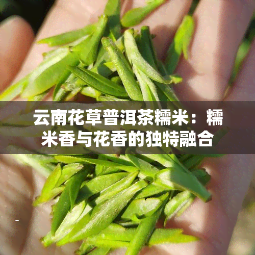 云南花草普洱茶糯米：糯米香与花香的独特融合