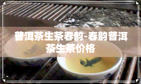 普洱茶生茶春韵-春韵普洱茶生茶价格